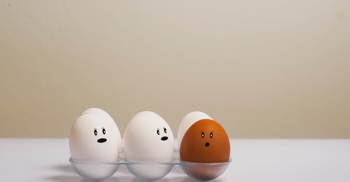 découvrez l'importance de la diversité, un élément clé qui enrichit nos sociétés, entreprises et cultures. explorez comment la diversité des idées, des origines et des perspectives favorise l'innovation et renforce les liens sociaux.