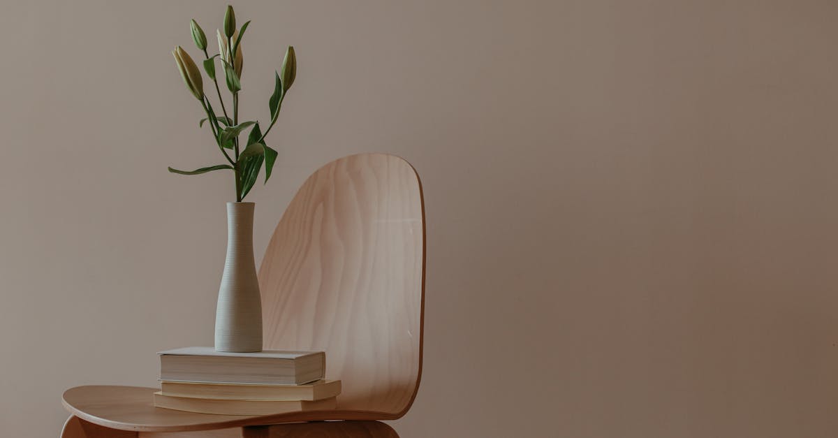 découvrez les avantages des matériaux naturels pour une décoration durable et esthétique. apprenez comment ces ressources respectueuses de l'environnement peuvent transformer votre espace tout en préservant la planète.