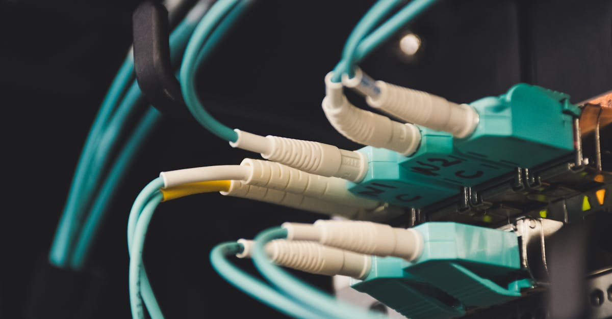 découvrez tout ce qu'il faut savoir sur les plugs anaux : conseils d'utilisation, choix du modèle adapté, précautions d'hygiène et astuces pour une expérience confortable et sécurisée.