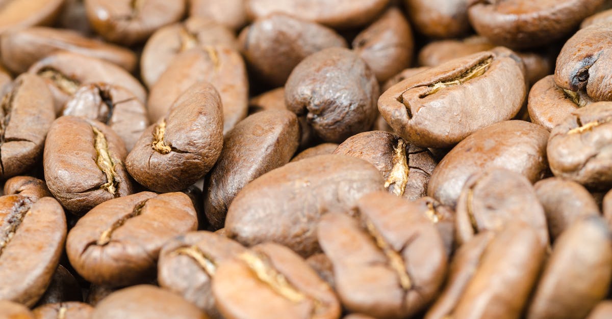 découvrez tout ce qu'il faut savoir sur le prostate stimulant : conseils, bienfaits et précautions pour profiter d'une expérience intime en toute sécurité.