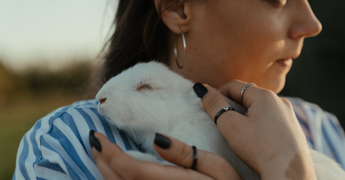 découvrez le rabbit vibrator, un sextoy incontournable pour le plaisir féminin. stimulation simultanée du clitoris et du point g, design ergonomique et sensations intenses. idéal pour explorer de nouveaux plaisirs en solo ou en couple.