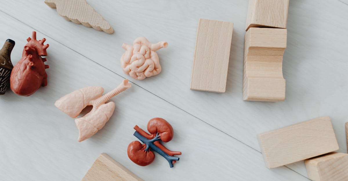 découvrez une sélection d’anal toys sûrs et confortables pour une expérience intime personnalisée. idéal pour débutants et expérimentés cherchant plaisir, exploration et qualité.