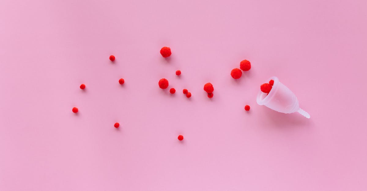 découvrez tout sur la stimulation clitoridienne et vaginale : conseils pratiques, différences et astuces pour une vie intime épanouie. informations, bienfaits et techniques efficaces.