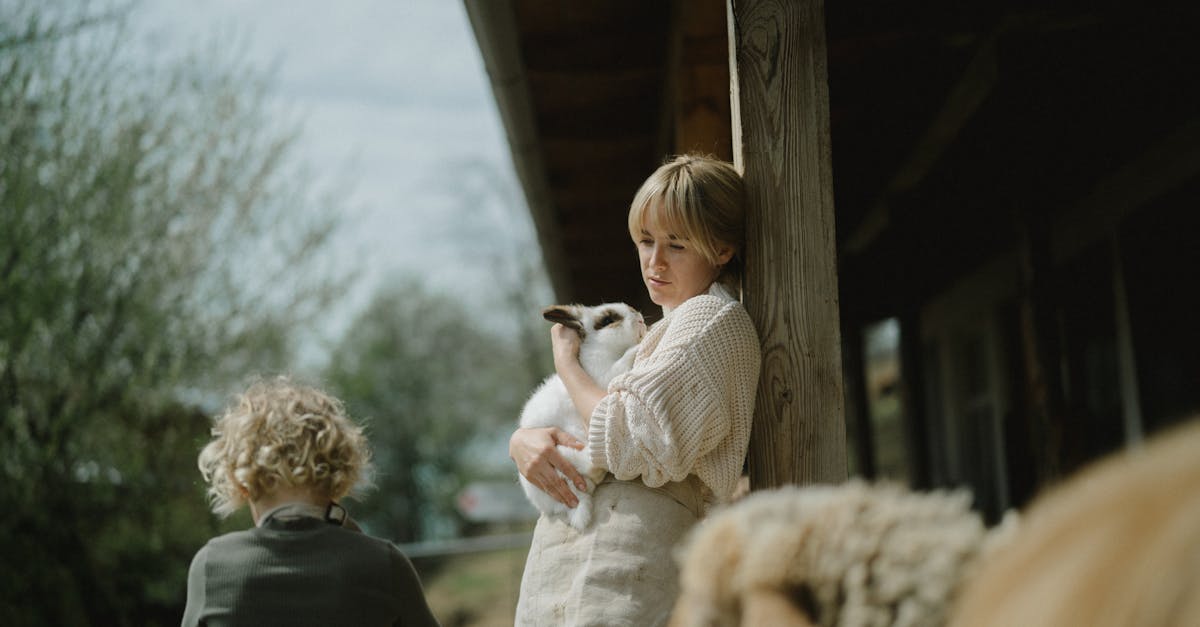 découvrez connected rabbit, un compagnon interactif intelligent qui allie technologie et convivialité pour divertir et informer petits et grands grâce à ses fonctionnalités connectées innovantes.