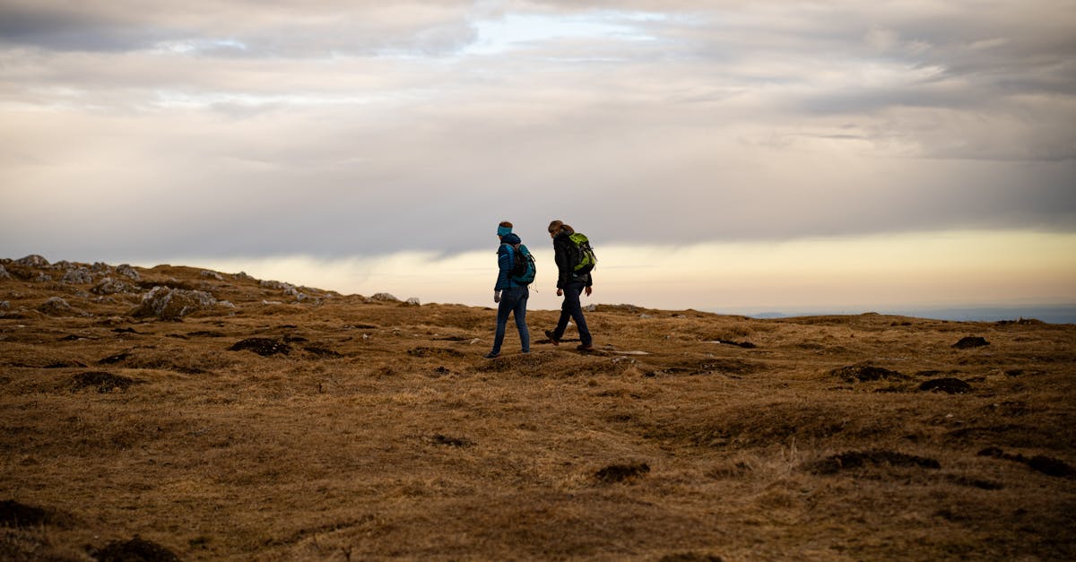 découvrez la signification du mot 'duo', ses usages et ses applications dans divers domaines tels que la musique, le sport et les arts. explorez comment deux personnes ou éléments peuvent former un ensemble harmonieux.