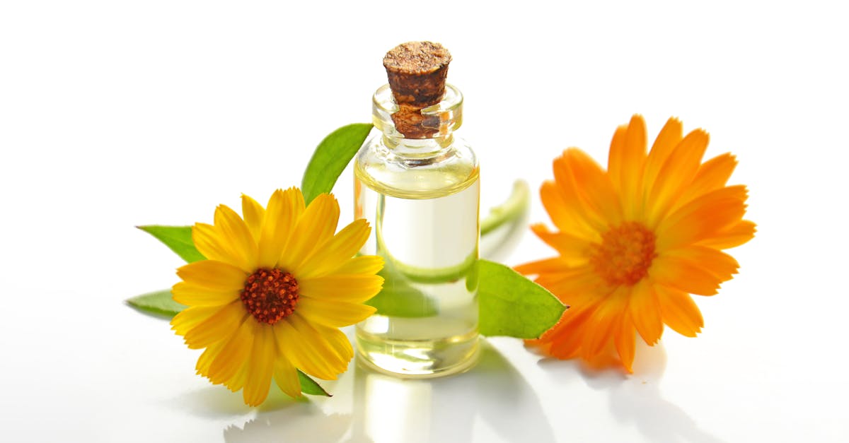 découvrez notre huile de massage comestible, parfaite pour combiner détente et plaisir. profitez d'une texture douce et parfumée, idéale pour des moments de complicité et de gourmandise à deux.