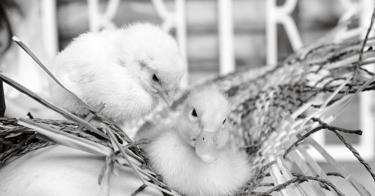 découvrez ce qu'est l'intimité, son importance dans les relations personnelles, et comment la développer pour renforcer vos liens affectifs et émotionnels.