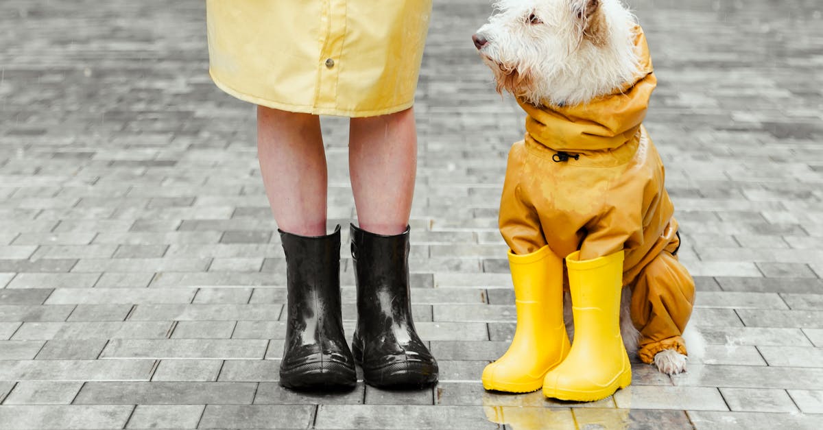 découvrez notre sélection de produits waterproof alliant performance et durabilité pour rester protégé en toutes circonstances. idéal pour le sport, les voyages ou le quotidien. profitez d’une qualité imperméable testée et approuvée !