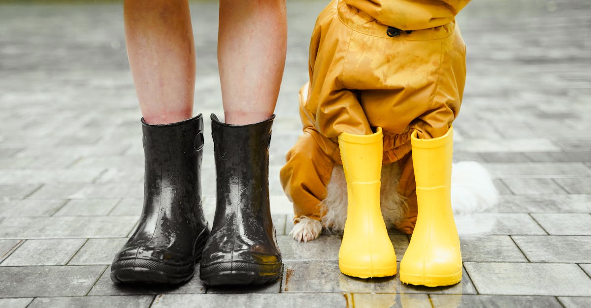 découvrez notre sélection de produits waterproof alliant résistance à l'eau et durabilité, pour vous accompagner au quotidien quelles que soient les conditions.
